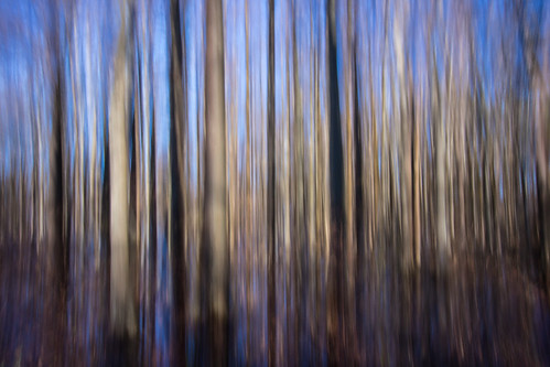 longexposure trees abstract blur color tree nature water landscape outdoors photography movement colorful unitedstates northcarolina blurred motionblur technique cypresstrees wildliferefuge lightinmotion cypresstree woodedarea motionphotography photoblind lakemattamuskeet lakemattamuskeetwildliferefuge