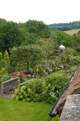 Petworth back gardens | by oh.suzannah