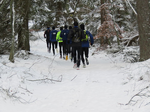 Runners in the forest | by Bjørn Steiner