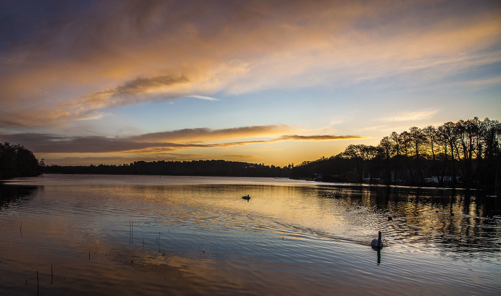 Sunrise @ Frensham Great Pond