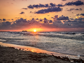 Sunrise Galveston Beach