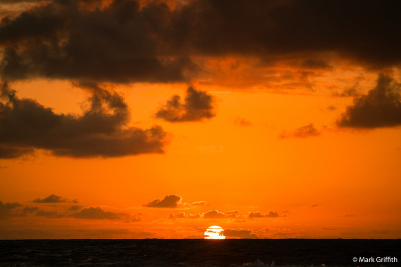 The Sun Comes Up
