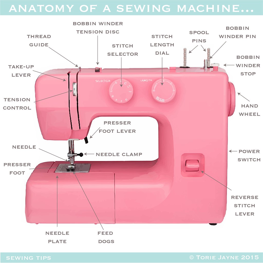 The Anatomy of the Machine