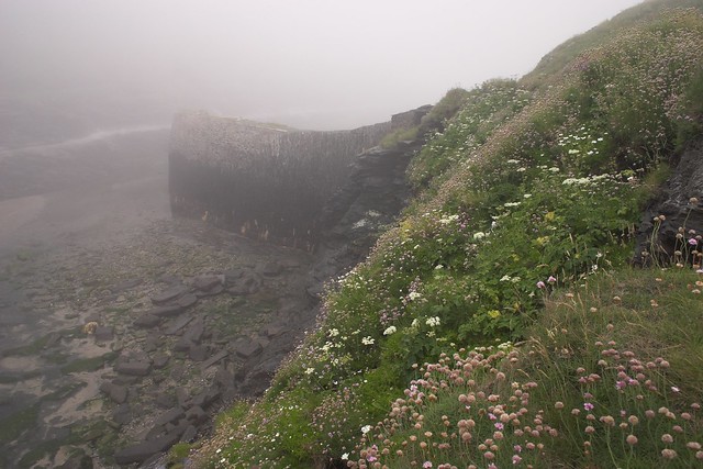 Harbour Wall, Boscastle, Cornwall