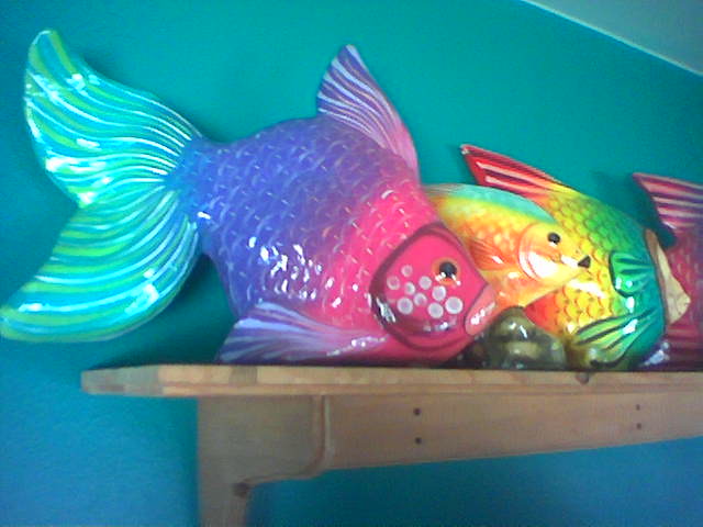Pretty Fish All in a Row