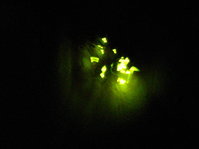 Dying firefly in hand - 15 sec exposure