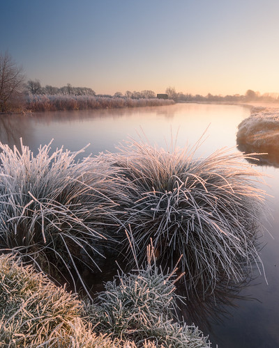 winter sunlight thames sunrise river landscape frozen nikon frost stu hard 45 lee d750 grasses filters grad 1635 meech lechlade 06nd