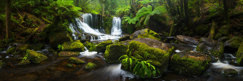 longexposure panorama forest landscape waterfall photographer australian australia tasmania horseshoefalls mountfieldnationalpark everlookphotography