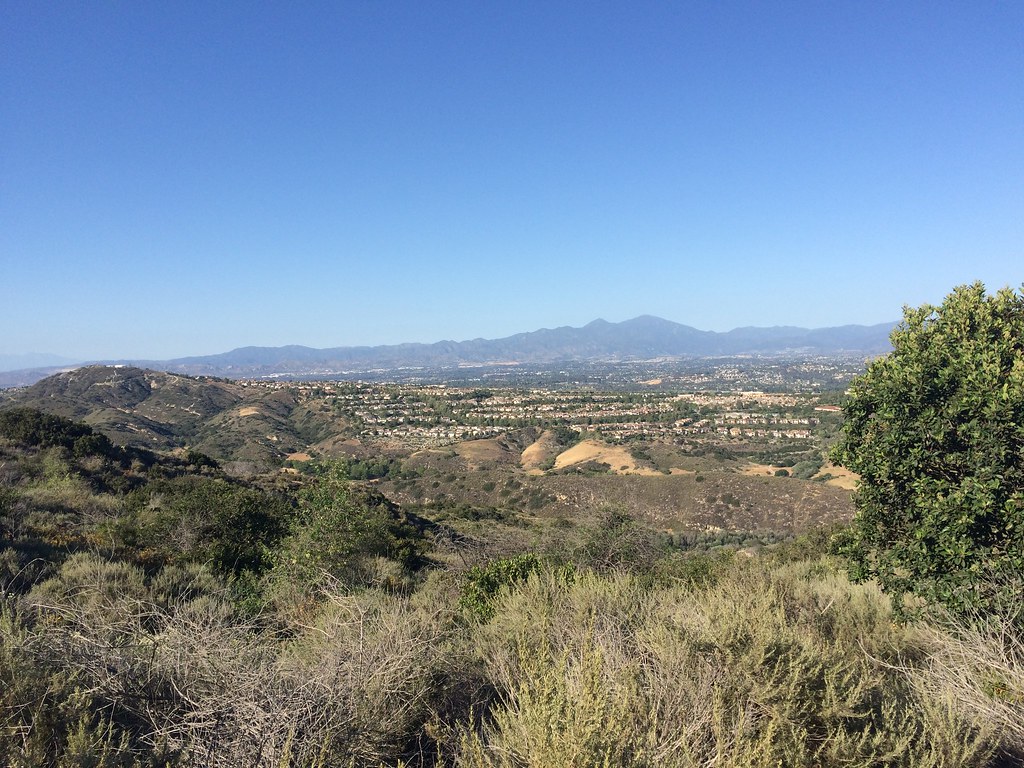 Aswut Trail, near Trail Stewardship – Sheep Run