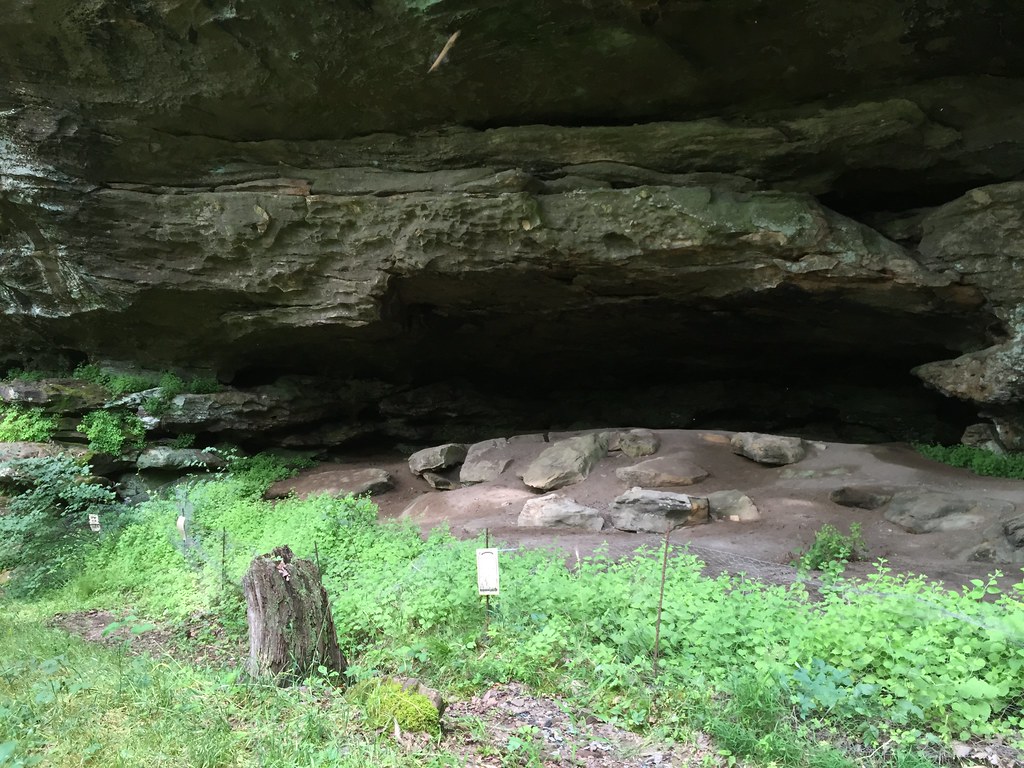 Rough Trail