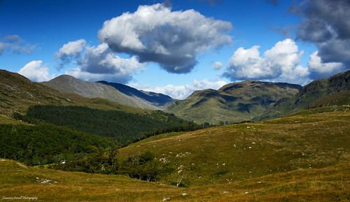 mountains nature landscape outdoors scotland highlands scenery scottishhighlands moidart nikond4 sunnart