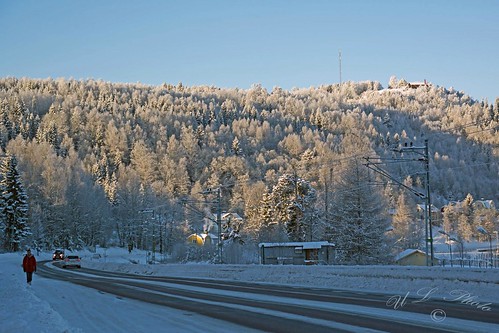 winter snow nature nikon sweden sverige rime snö västernorrland ångermanland dsc1874 atranswe väja väjaberget latn62°5818lone17°427 väg90 roadno90 väjamountain fimfrost