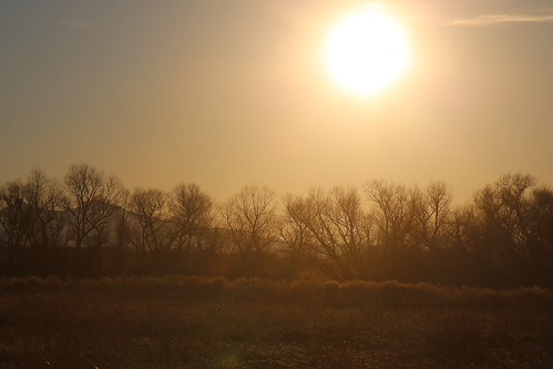 0U1A5014 2016-01-18 Whitewater Draw - sunrise by SebCheneb47, winter arizona birds sunrise wildlife wetland sandhillcrane 2016 cochisecounty whitewaterdraw