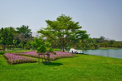 Flowers and trees by the lake in Suan Luang Rama IX park in Bangkok, Thailand