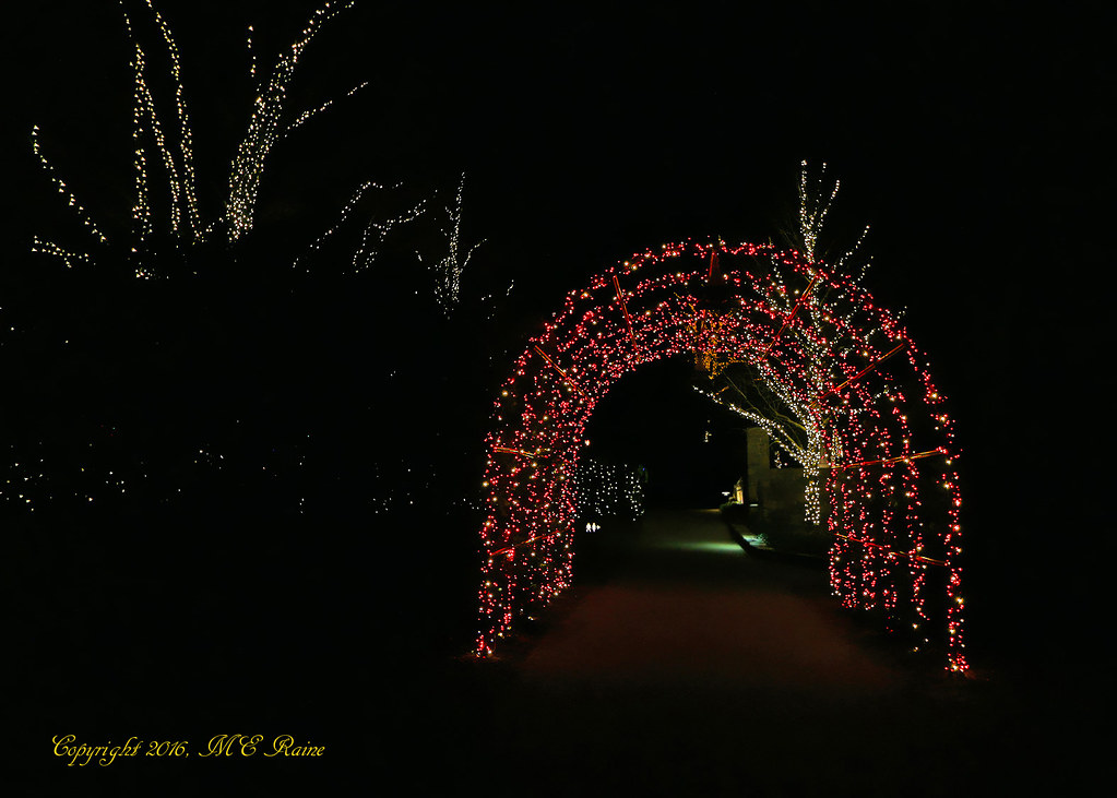 2015 Longwood Christmas Outdoors Nighttime Tree Lights At Flickr