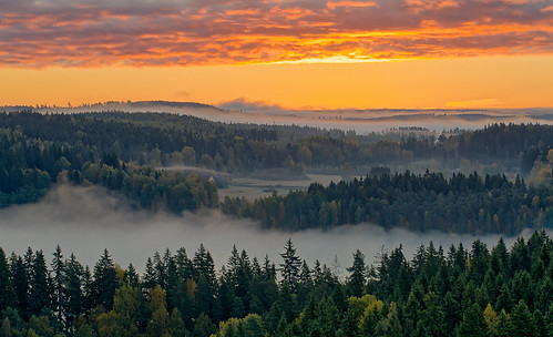 morning autumn red orange mist lake tree fall nature weather silhouette misty fog forest sunrise finland season landscape dawn countryside haze woods scenery colorful europe glow outdoor vibrant background hill foggy scenic peaceful tranquility aerialview calm fantasy silence naturereserve serenity mysterious mystical glowing magical idyllic tranquil hdr mystic aulanko