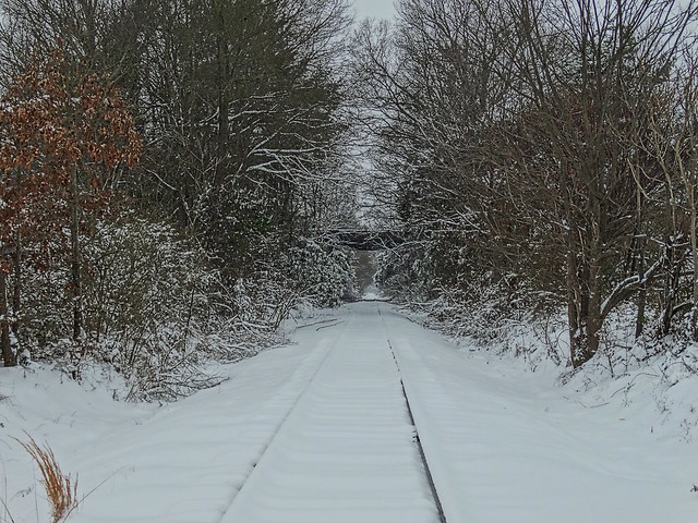 Snow Covered Tracks
