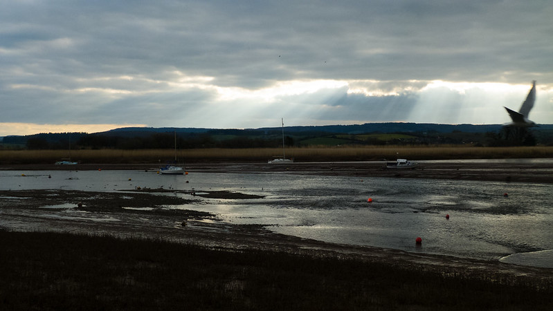 Exe estuary, low tide, heavy clouds over Haldon Forest