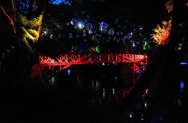 Festival of Lights.  Pukekura Park, New Plymouth NZ 9