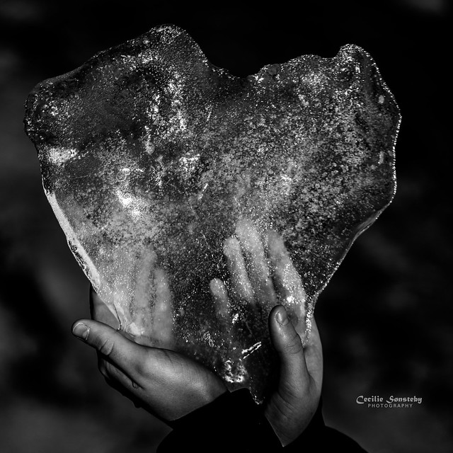 Heart of ice