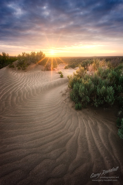 Oregon Desert Dunes