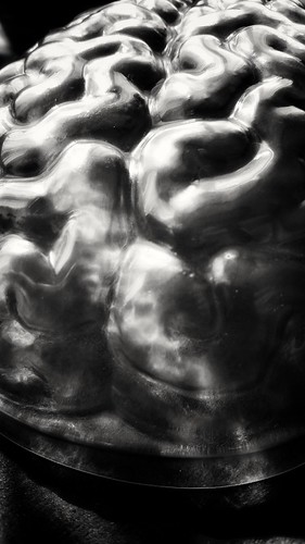 Brain Fog | by Mrs Peacock in the dark room!