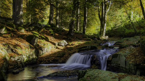 morning autumn fall beautiful stream peaceful dublinmountains cloughlea