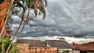 Mesma foto, novo ângulo #24 #motomaxx #celular #projeto365 #palmeira #hdr #tempestade #nuvens
