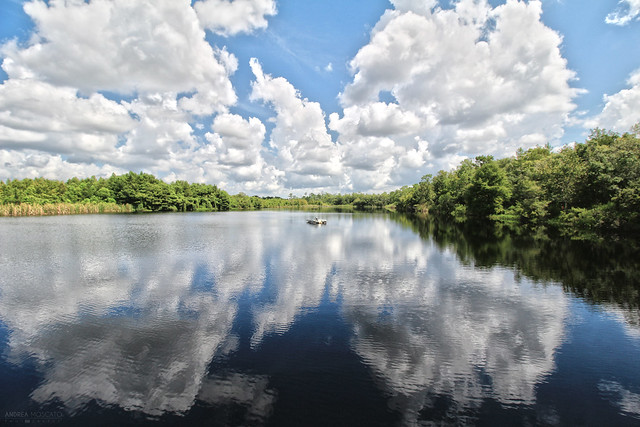 Gator Lake, Six Mile Cypress Slough Preserve - Florida