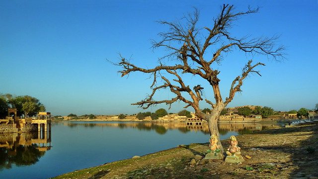 India - Rajasthan - Jaisalmer - Gadsisar Lake - 101