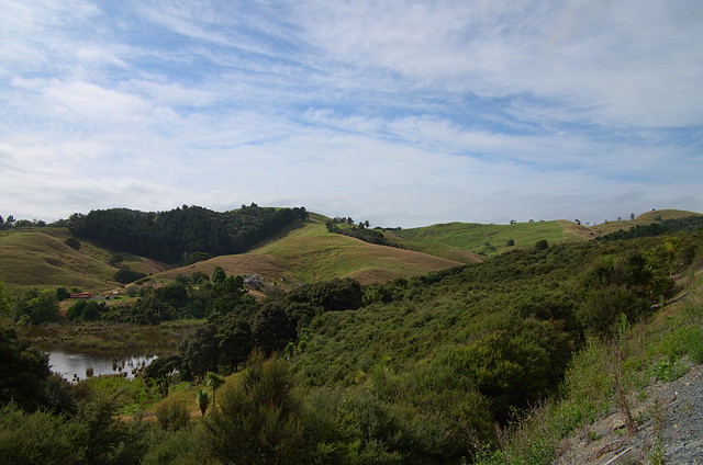Rolling Hills of Waiwera