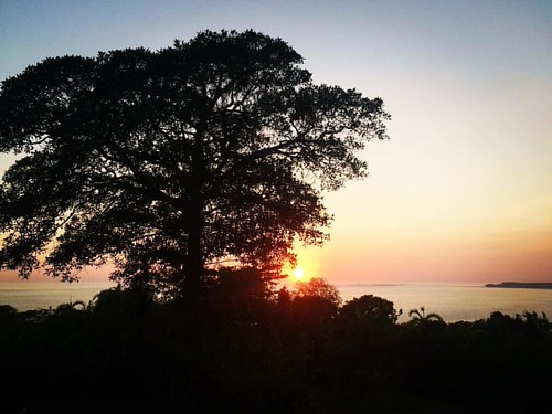 #sunset at LaCusinga.com photo by @canta_rana by La Cusinga Eco Lodge, square lofi squareformat iphoneography instagramapp uploaded:by=instagram