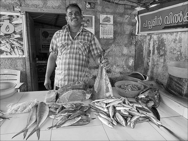 People in India: Selling fresh fish