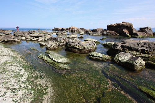 Shore Rever Shore reef | caffeine photo | Flickr