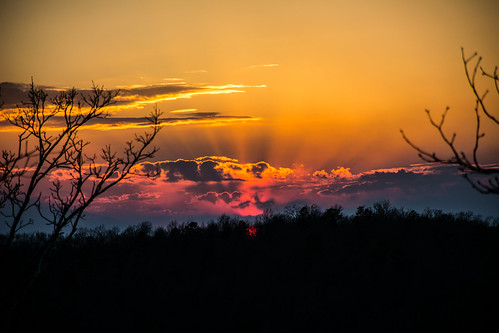 WISCOLLC-7.jpg | by wiscollc
