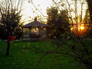 Sundown at Sawyer Dog Park