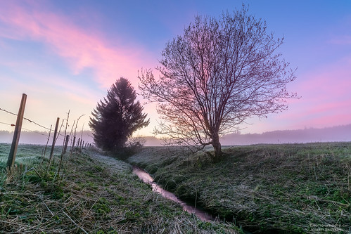 Pink by Emotions-photo.ch, Avant le lever de Soleil près de Maules en Suissepink blue sky sun tree green water beautiful rose c