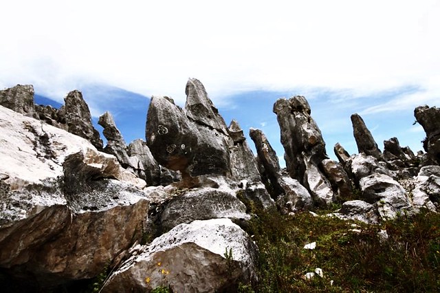 Bosque de Piedras de Chucumaca - Negropampa, Chota, Cajamarca, Perú
