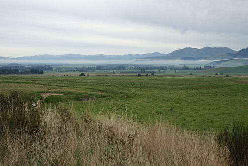 pasture mist cloud variosonnart282470 newzealand