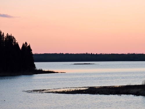 sunset lake canada nature silhouette spring canoe alberta elkisland astotinlake