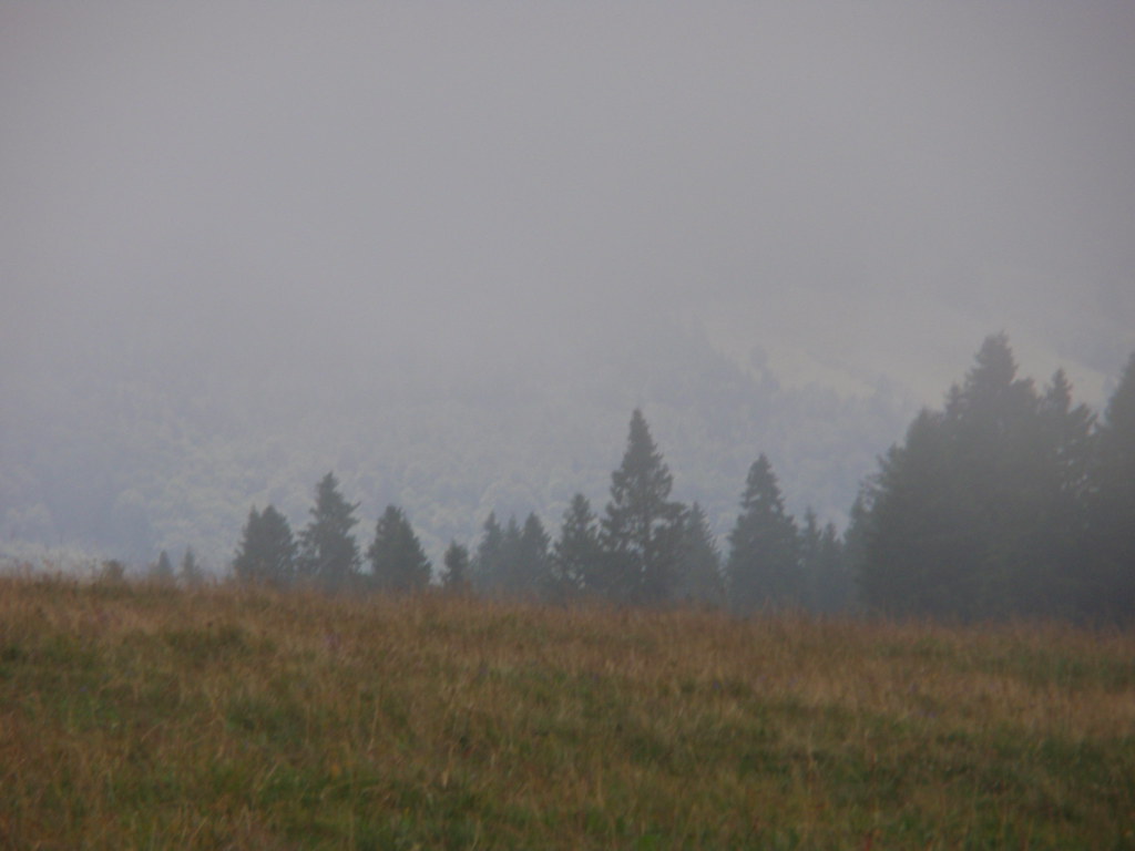 P8080334 | OLYMPUS DIGITAL CAMERA | jeroen | Flickr