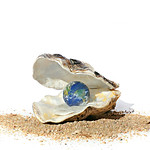 oyster (brescia, italy)