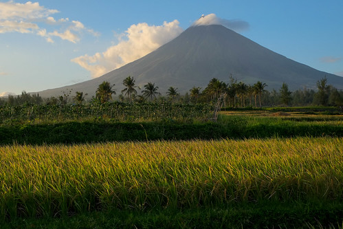 Rice. Mt Mayon by Laura Jacobsen, volcano philippines mayon bicol luzon mtmayon legaspi legazpi bicolandia mayonvolcano