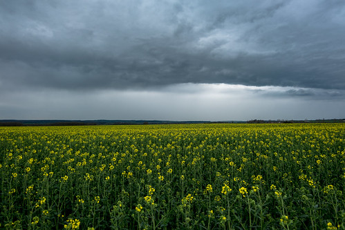 sky storm green colors lines yellow clouds jaune landscape grey gris couleurs farming vert nuages orage colza