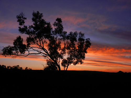 sunset sky tree forest landscape nikon dana australia western coolpix wildwood cottages yallingup s9100 iwachow