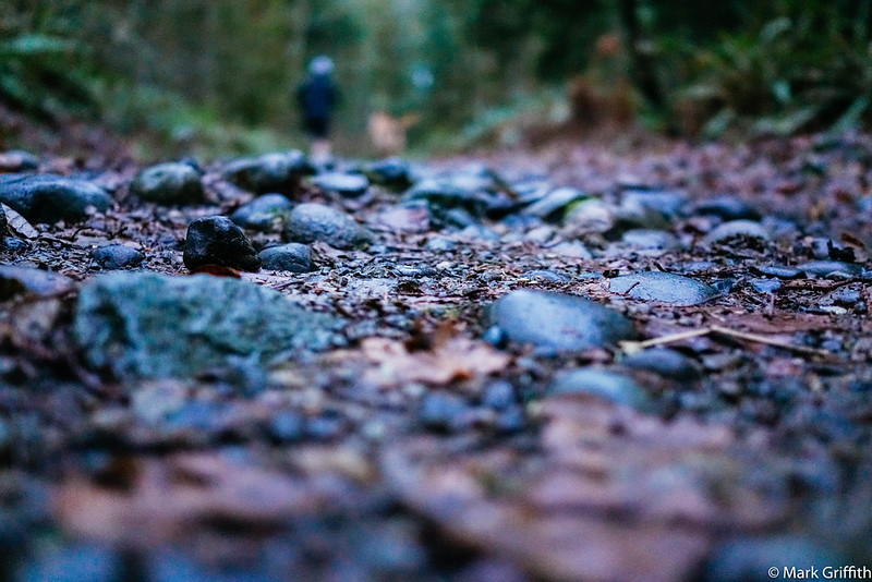 Trail Run