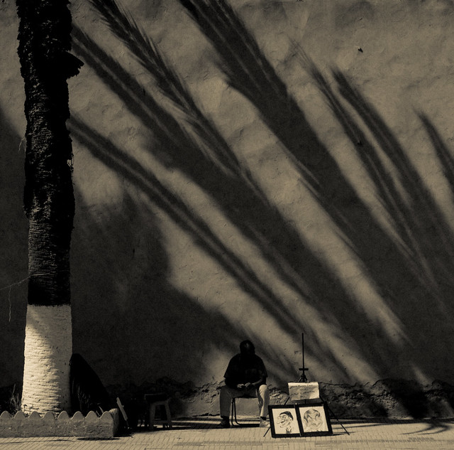 Le palmier-éventail