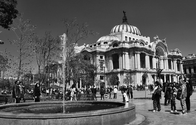 Palacio de Bellas Artes 201