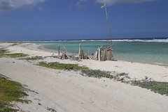 Boca Grandi Aruba
