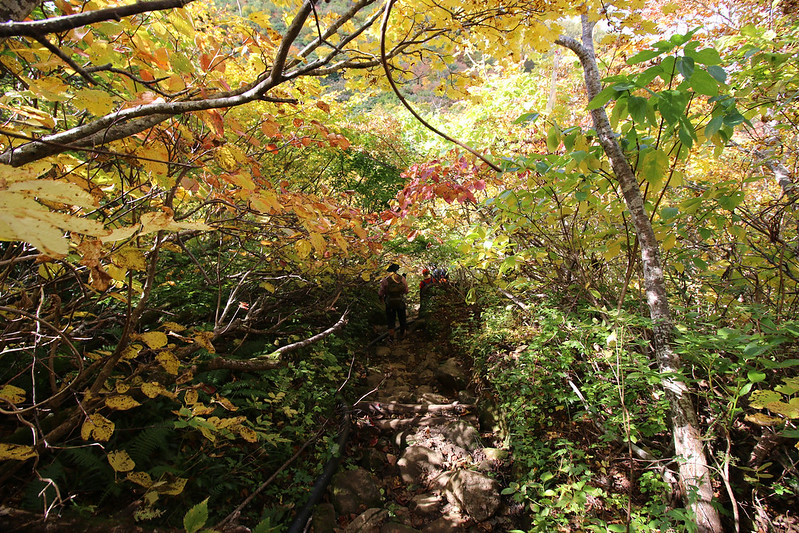 紅葉の栗駒山